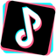 TikTok Downloader