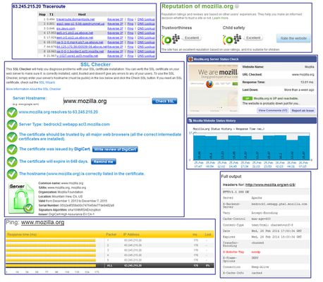 The Flagfox menu provides access to a multitude of additional actions. Shown here are parts of the traceroute, WOT Scorecard, SSL Checker, Check Server Status, Ping, and Header Check actions. Many more actions are available.