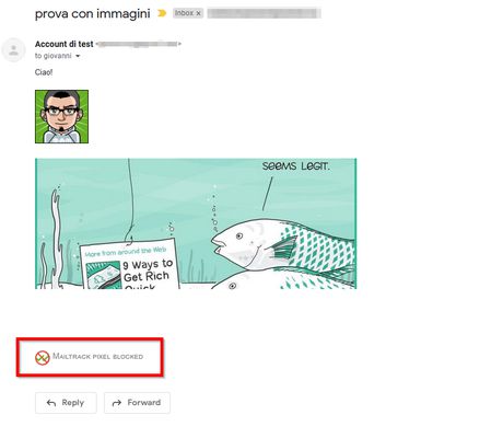 With Block Mailtrack enabled, you will be notified about the Mailtrack.io service's tracking pixel blocking.