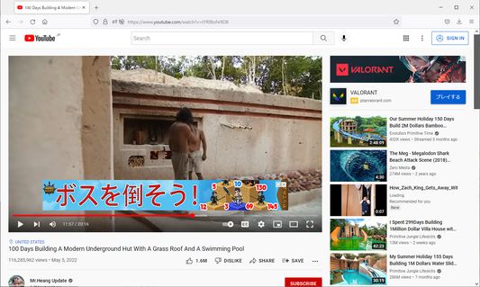 Seite, auf der das Video abgespielt wird