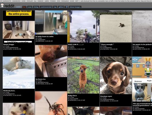 Example of Reddit Gallery while browsing r/cute.