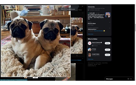 Ultra Zoom on Twitter