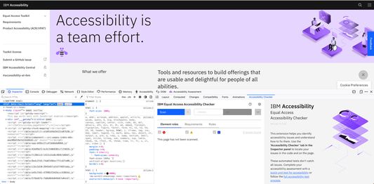 The screenshot shows view of IBM Equal Access Accessibility Checker integrated into the developer tool.