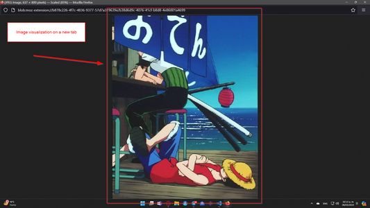 Preview of the images fetched