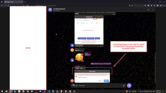 Button on chat to download media content even if settings has "Protected Media" active