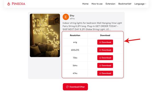 Download your favorite Pinterest media in a click with Pinedia