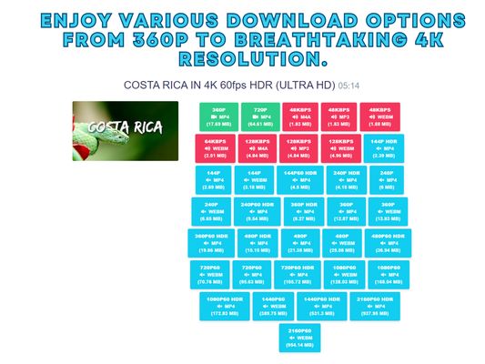 Best YouTube Video Downloader