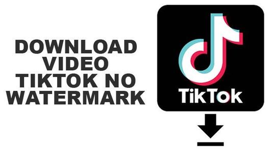 Download TikTok Video Without Watermark.