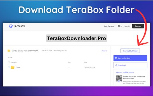 TeraBox Folder Link Downloader