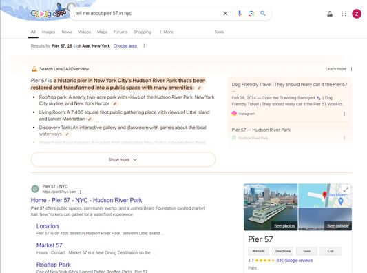 Example of a google AI overview