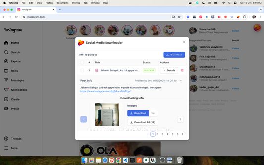 Instagram Downloader with a request info