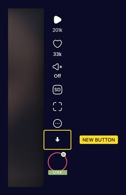 Newly added download button.