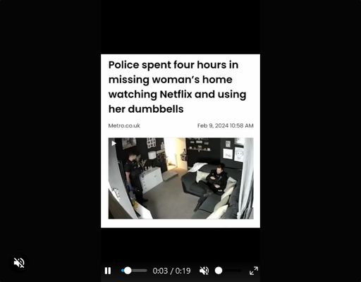 Webm video playing with controls enabled.