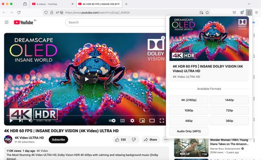 Download videos from YouTube, TikTok, Instagram, Facebook, SoundCloud, and over 10+ platforms effortlessly using the all-in-one video downloader tool.