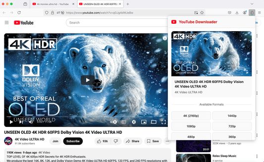 Quickly download YouTube Shorts and convert them into MP3 or MP4 formats for offline viewing with our intuitive downloader.