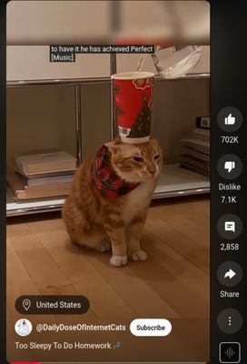 See youtube dislike count on shorts.