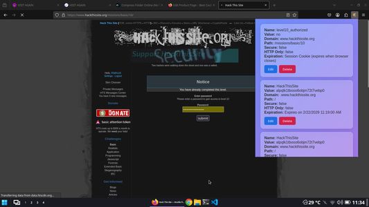 Hackthissite.org basic level 10 passed