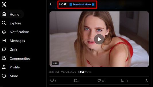 Twitter(x) Video GIF Downloader