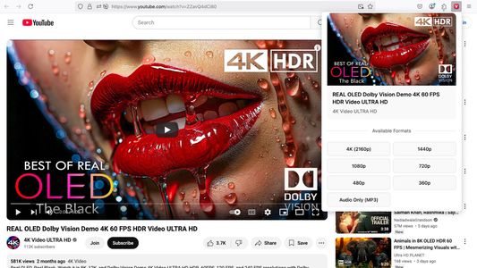 Download videos from YouTube, Facebook, Instagram, TikTok, Twitter, and Vimeo in high quality. Supports multiple formats and resolutions.