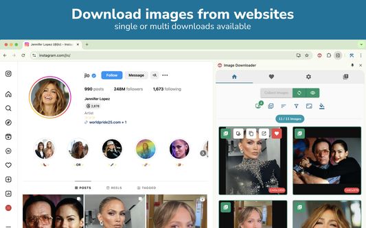 Single or bulk download from any website