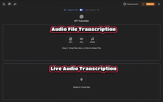 GPT Transcriber View