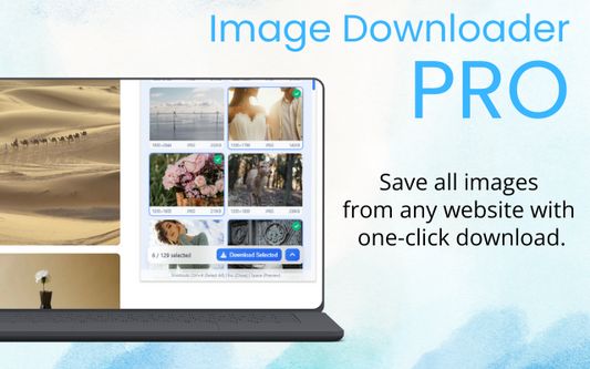 Save all images from any website with one-click download.