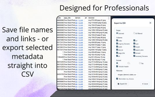 Save file names and links - or export selected metadata straight into CSV.