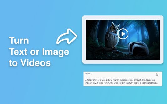 Turn Text or Image to Videos