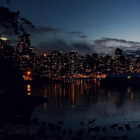 Kullanıcı avatarı