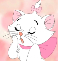 მომხმარებლის გამოსახულება