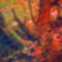 Аватар користувача